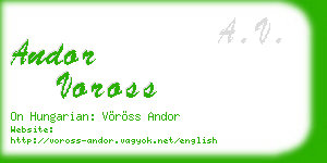 andor voross business card