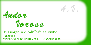 andor voross business card